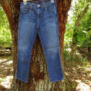 J Crew Womens Jeans 28 straight leg Mid rise 9 3/4"